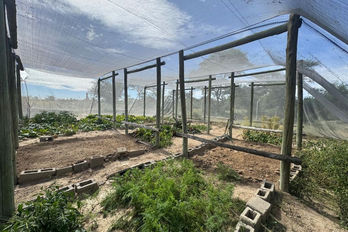 A rare opportunity to own a beautiful and versatile farm with incredible natural features and game - Photo 5