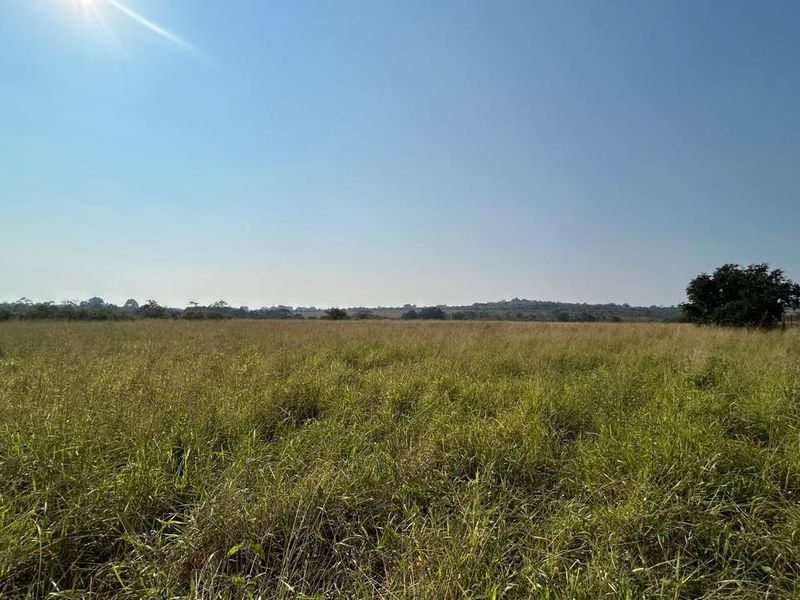 21 ha Mixed-Production Farm with Strong Water Availability - Photo 3