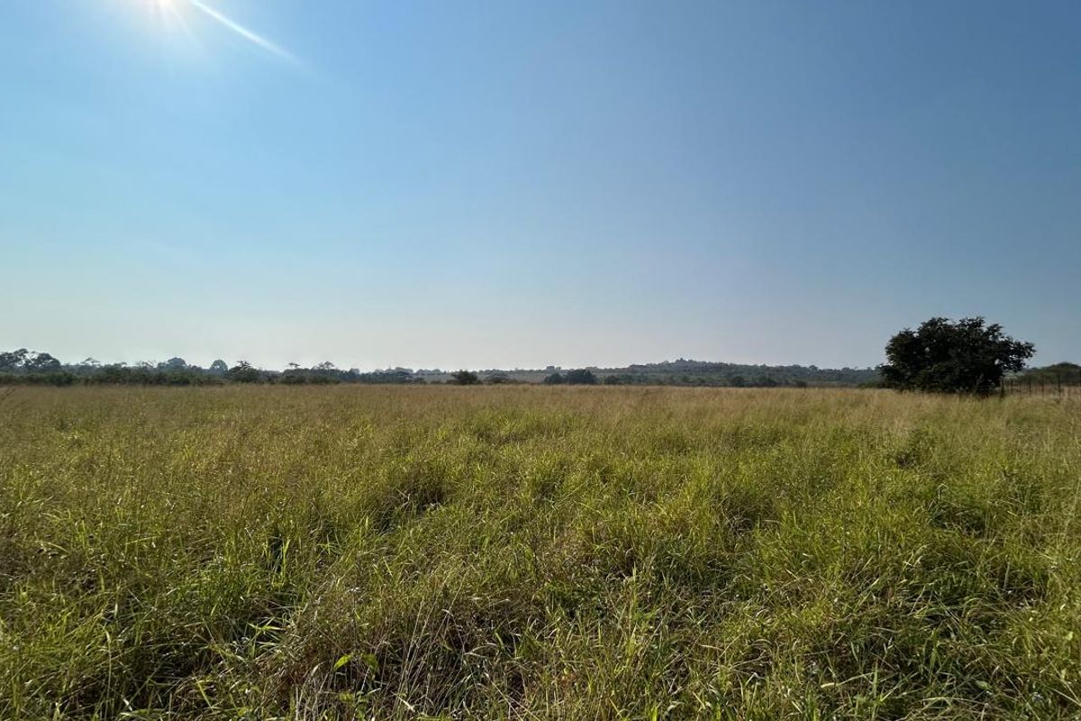 21 ha Mixed-Production Farm with Strong Water Availability - Photo 3