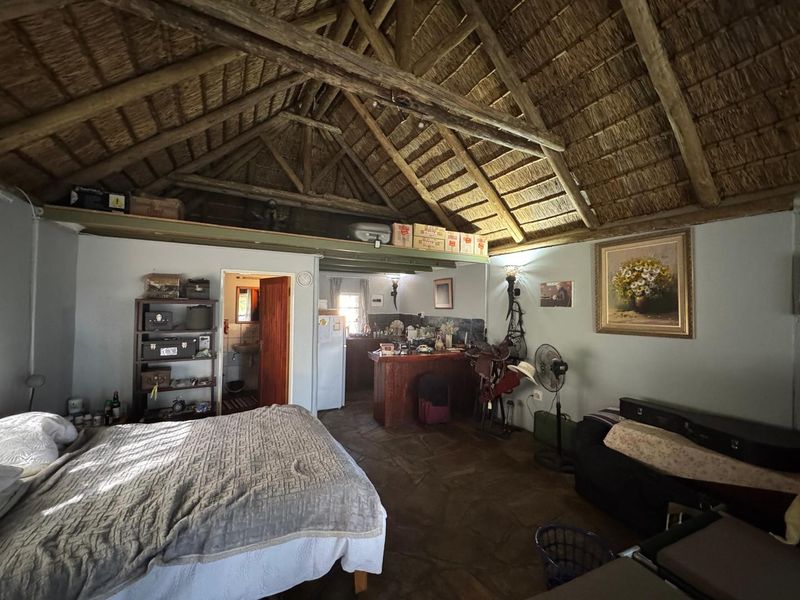 A beautiful, well-established cattle farm in the sought-after Otavi area — known for its excellent grazing and reliable rainfall. - Photo 10