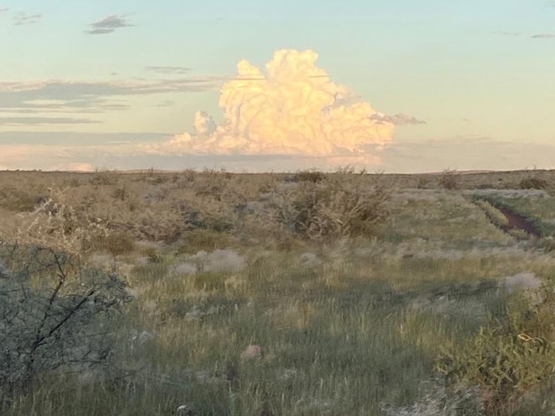 Rural Elegance: 7,749-Hectare Livestock Farm with Comprehensive Improvements - Photo 10