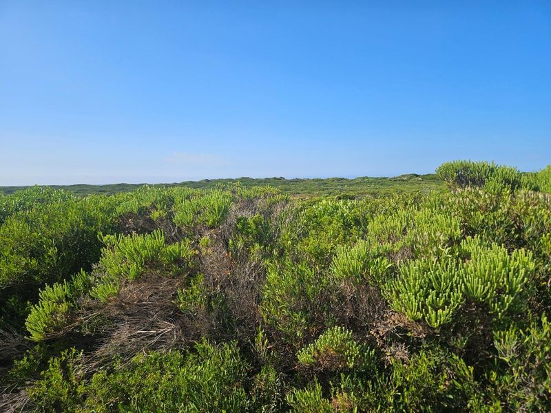 Business Opportunity - Photo 5