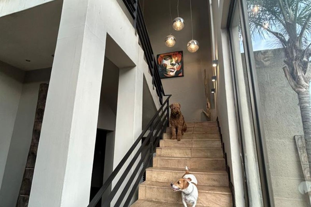 🏡 Refined Luxury in Windhoek’s Prestigious Ludwigsdorf - Photo 2