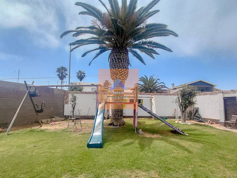A spacious rear garden featuring a large mature palm tree, established lawn, and high perimeter boundary walls for privacy.