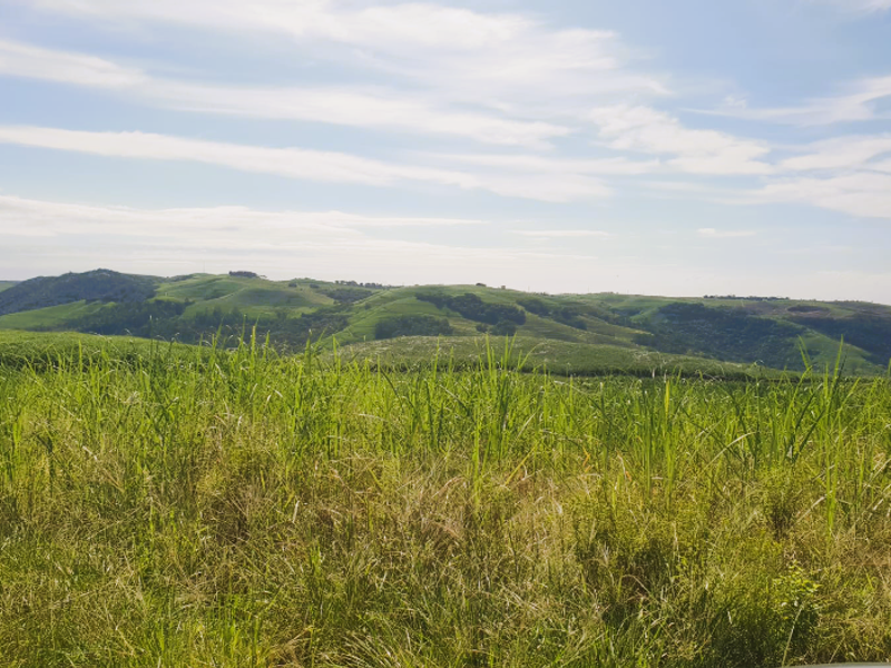 Farm for Sale Port Shepstone - Photo 10