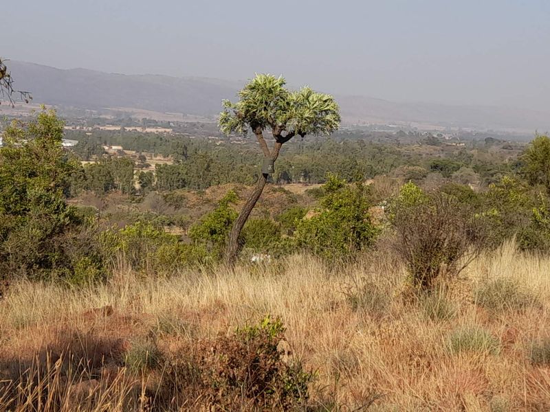 Secure, Scenic Vacant Stand in Kameeldrift West Awaits You! - Photo 3