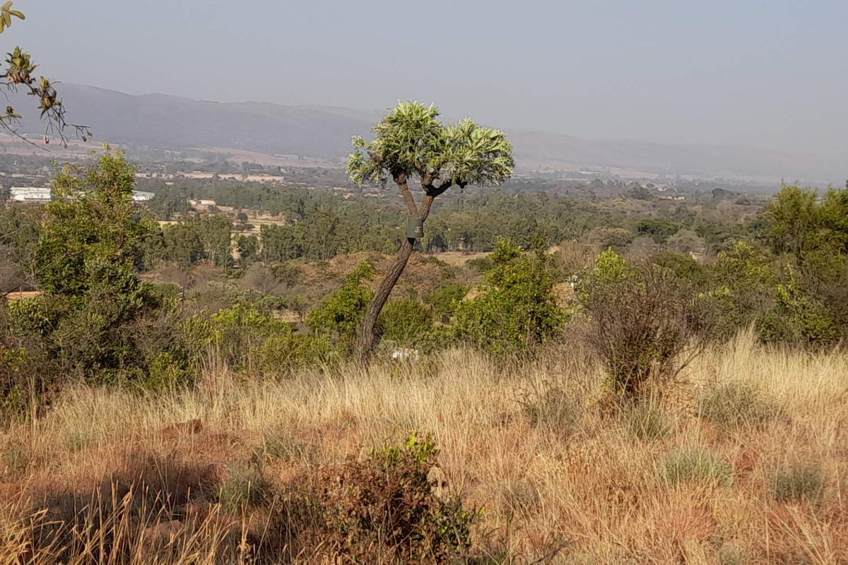 A scenic elevated view overlooking the surrounding natural landscape and valley, showcasing the expansive rural setting of the small holding.