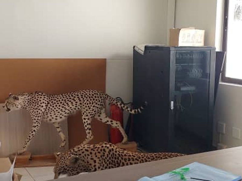 Versatile Business Hub: Two Buildings, Endless Possibilities! - Photo 10