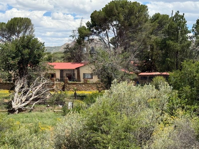 Old Farmhouse - nature living - Photo 8