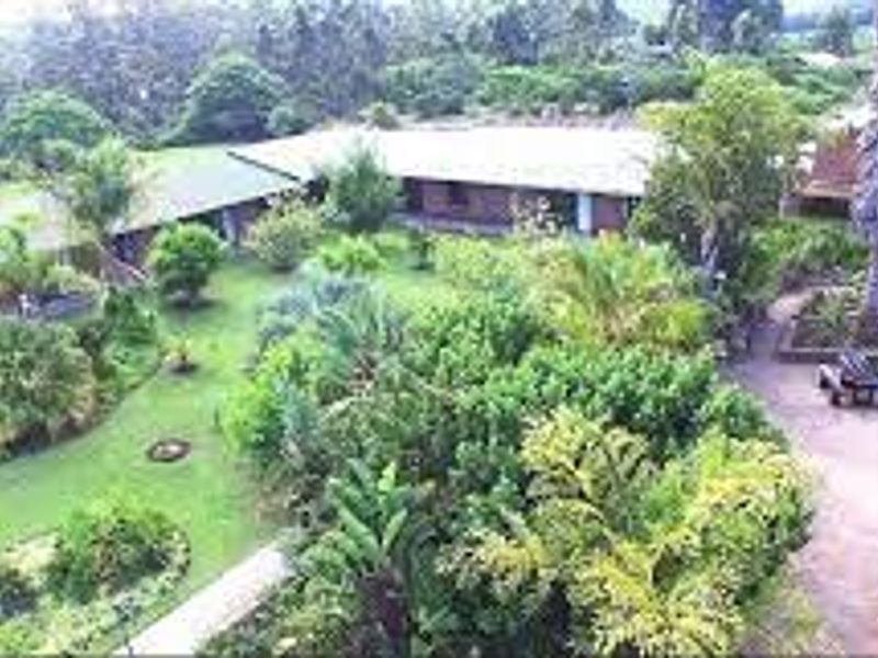 Forgotten Piece of Paradise! - Photo 5