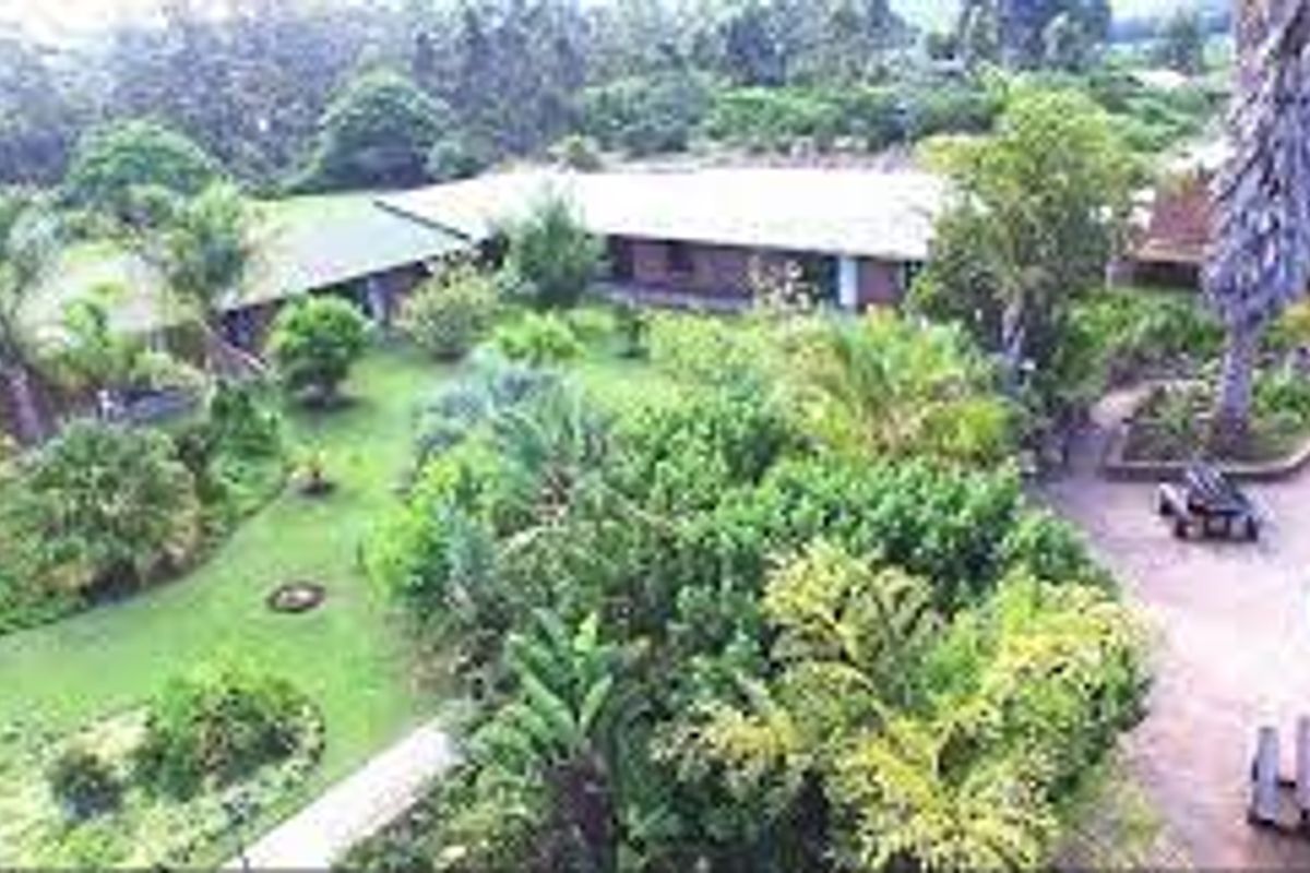 Forgotten Piece of Paradise! - Photo 5