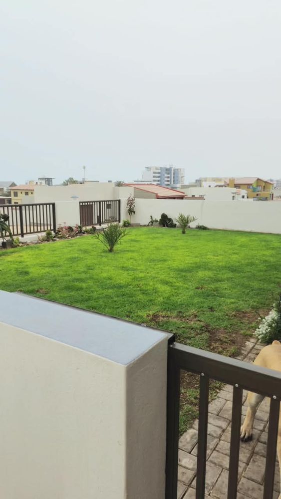Front garden of the house