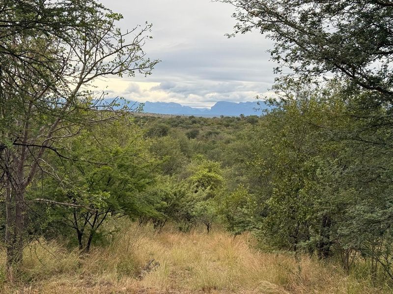 Lovely Bushveld Stand in Elephant Rock!! - Photo 2
