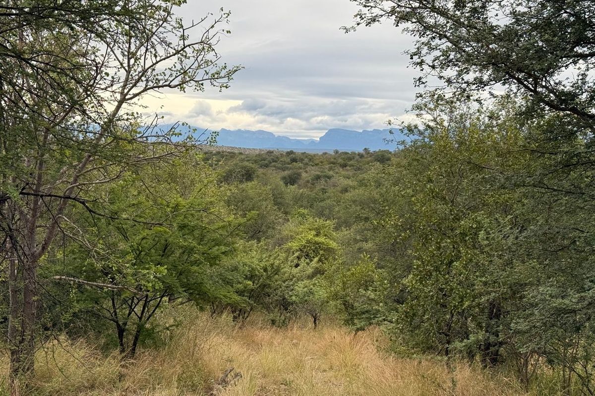 Lovely Bushveld Stand in Elephant Rock!! - Photo 2