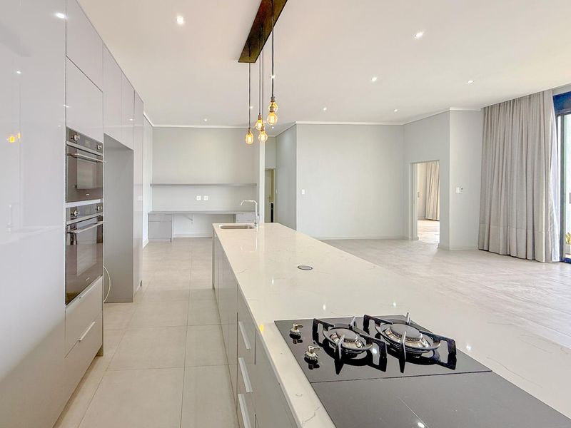 Ascend to Midstream | Penthouse Residence | For Sale & To Let - Photo 3