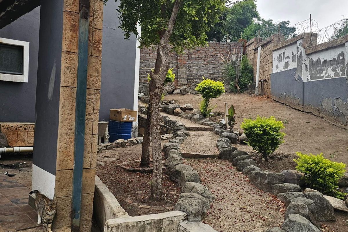 A rear garden area featuring a stone-bordered pathway, established trees, and a high boundary wall with security fencing.