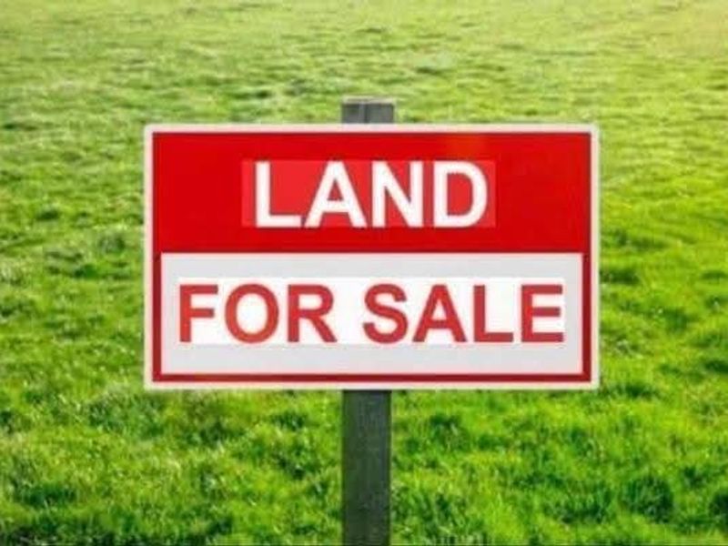 A generic sign indicating land for sale on a grassy plot.
