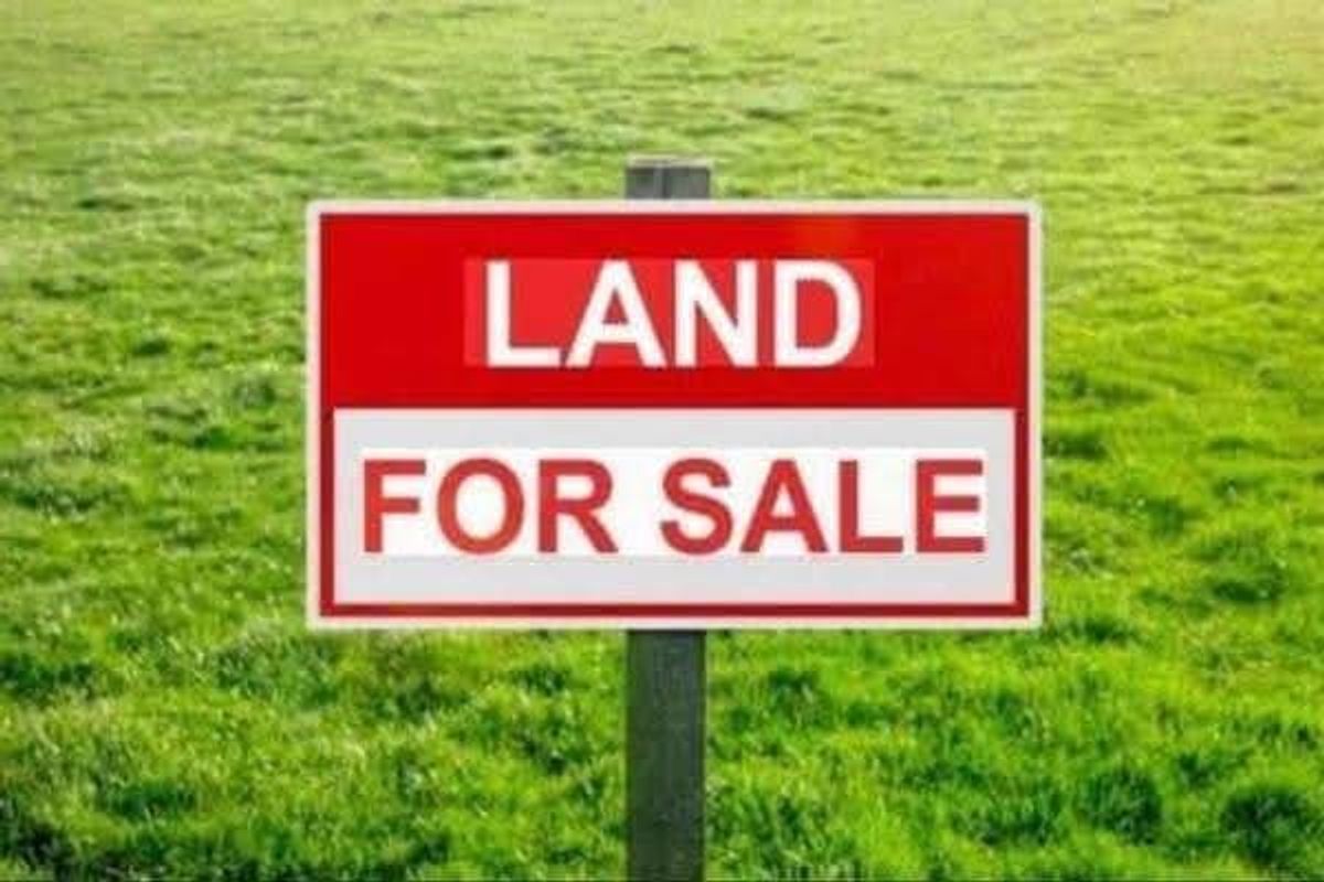 A generic sign indicating land for sale on a grassy plot.