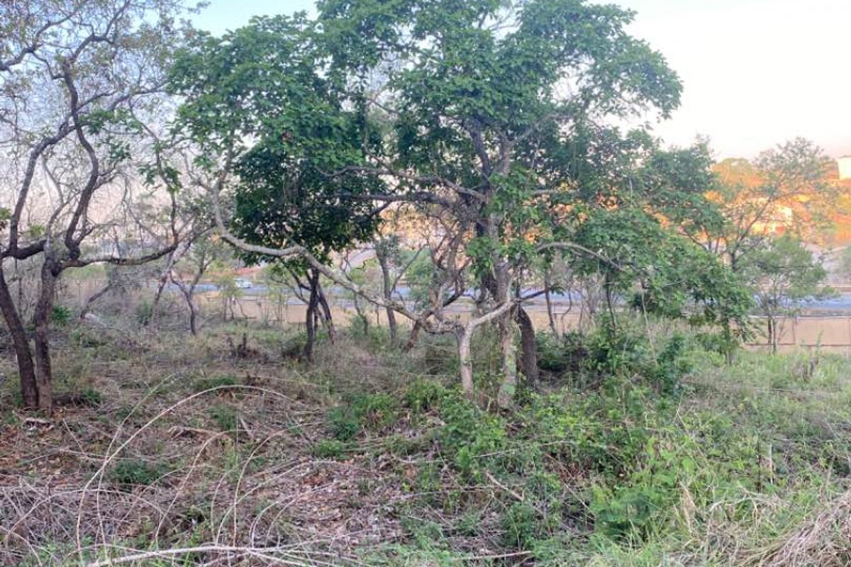 Stunning big stand for sale in Ridge Hill Estate - Photo 2