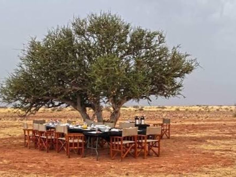 An outdoor dining setup situated under a large mature tree in a vast, arid farm landscape.