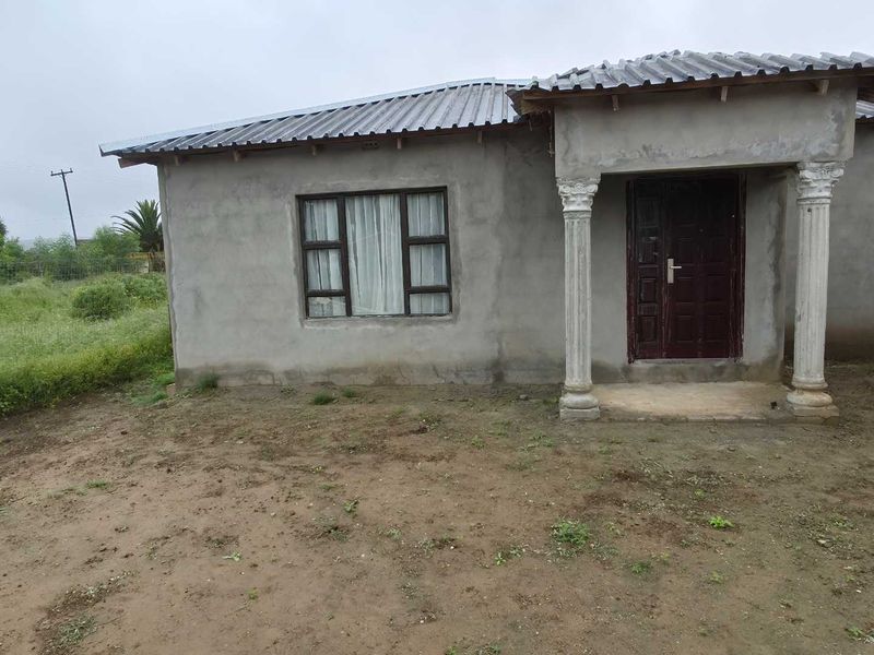 Front view of a single-story house featuring a corrugated metal roof, decorative entrance columns, and unfinished exterior wall plastering.