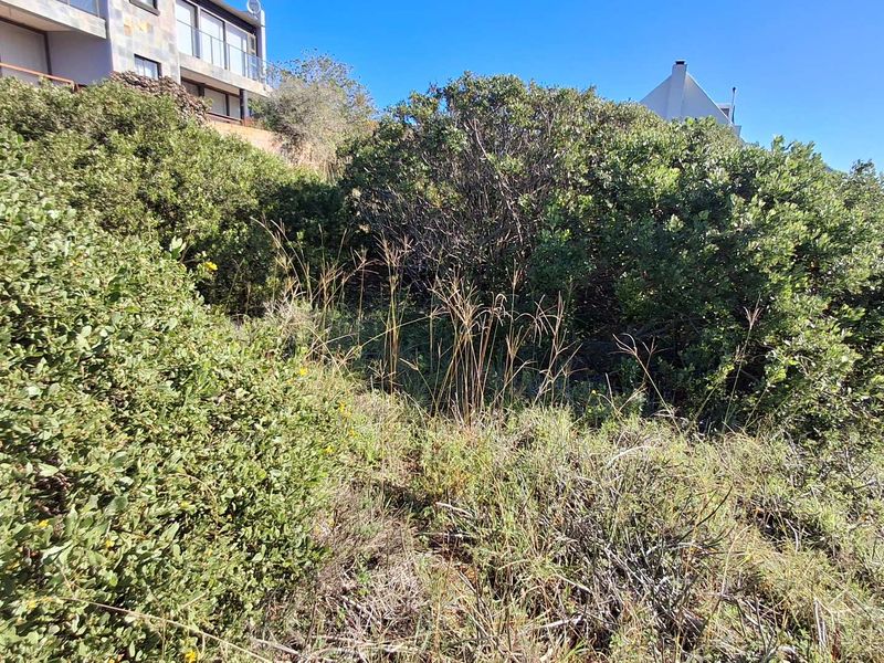 A view of the sloped, undeveloped residential land featuring dense native vegetation and shrubs, with neighboring properties visible in the background.