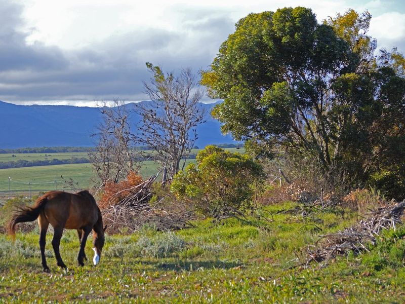 A Haven to Hold - Photo 4