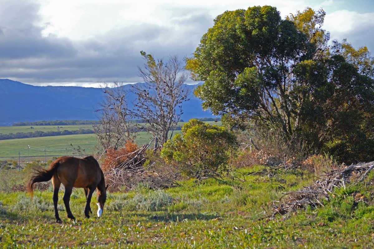 A Haven to Hold - Photo 4