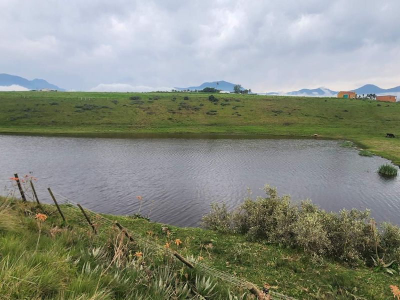 A scenic view of a farm dam surrounded by rolling green pastures and distant mountain ranges under a cloudy sky.