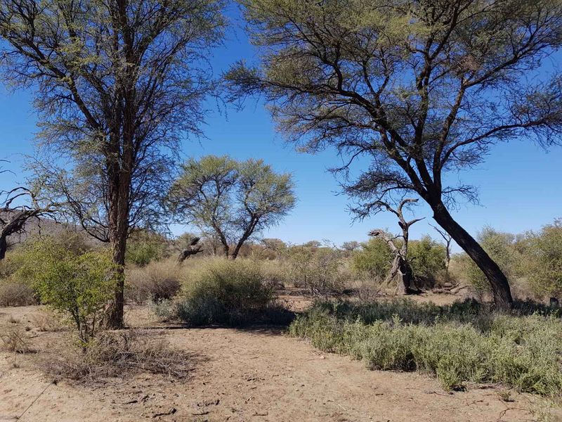 Nature Estate Plots Okahandja - Photo 3