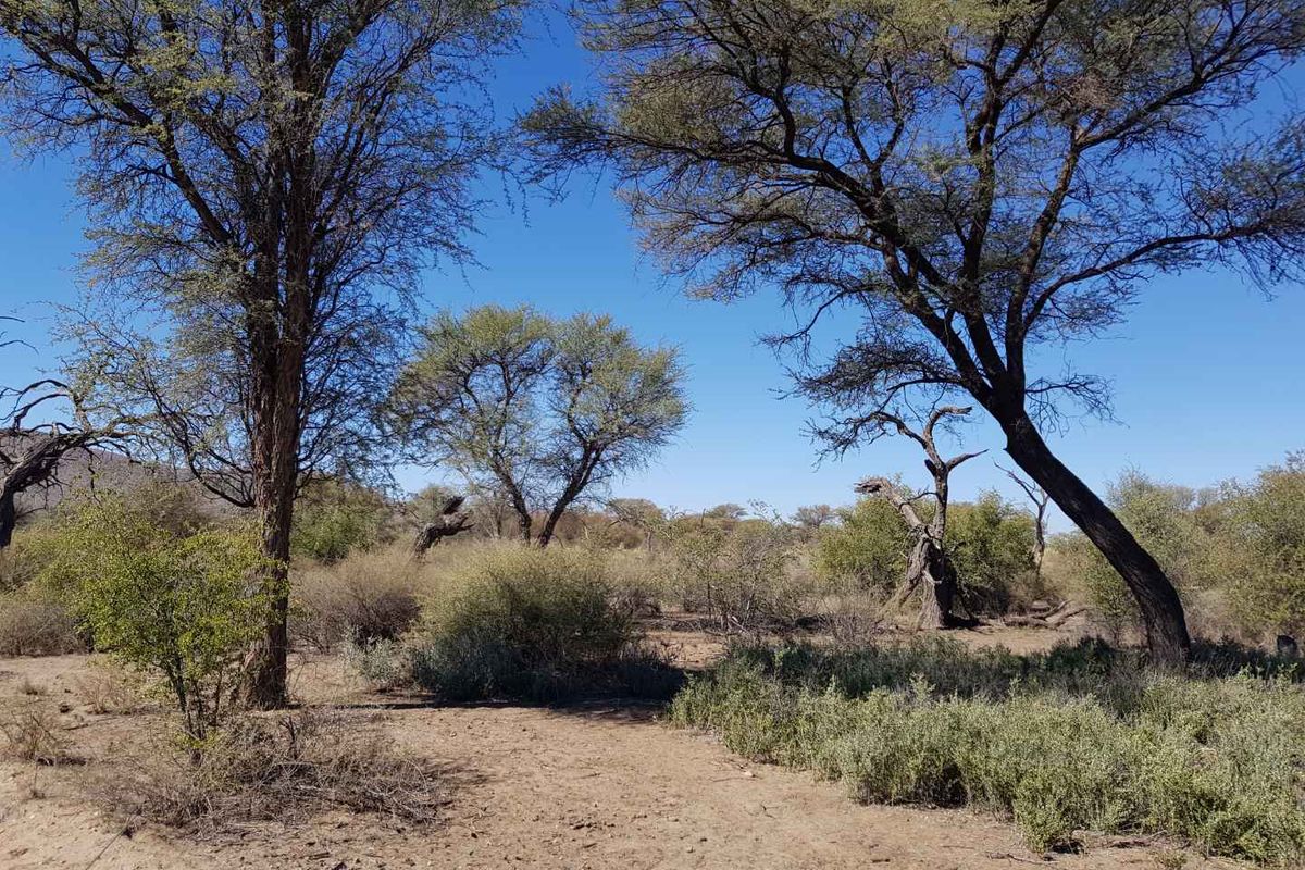 Nature Estate Plots Okahandja - Photo 3