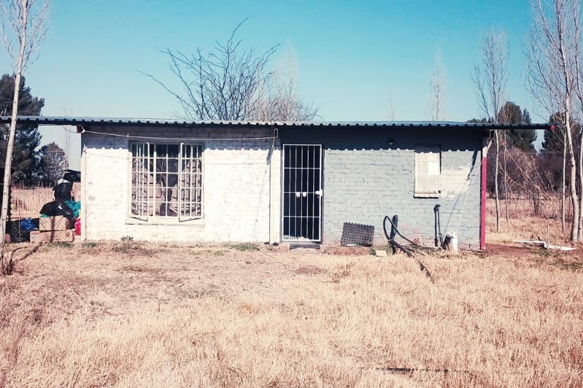 SMALL HOLDING .TWO FLATLETS.STRONG WATER. TWO BOREHOLES.SAVE AREA.CAN BUILD EASY 6 HOUSES. - Photo 3