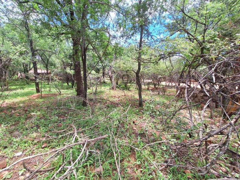 Tranquil Corner Stand - Prime Location - Photo 6