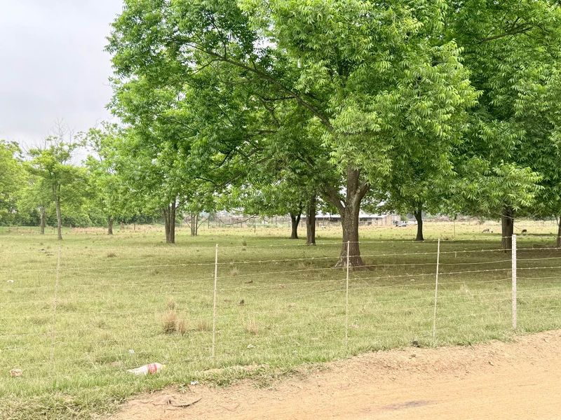 Smallholding for sale in Vryheid area - Photo 6