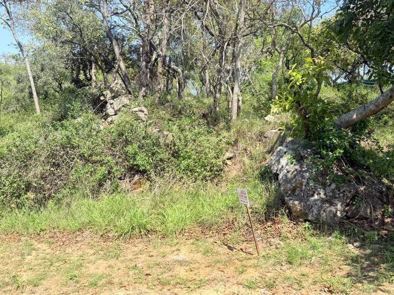 A view of a vacant residential plot featuring natural rock formations, mature trees, and a paved street frontage.