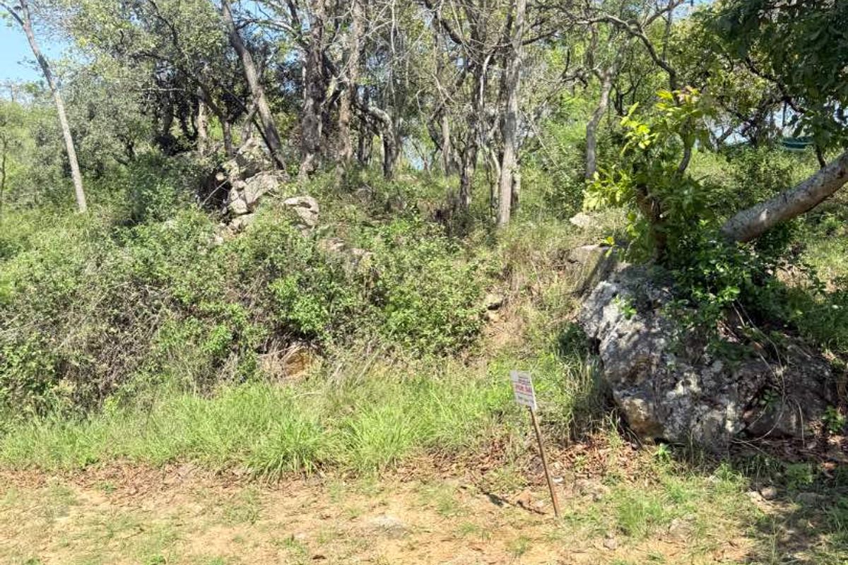 A view of a vacant residential plot featuring natural rock formations, mature trees, and a paved street frontage.