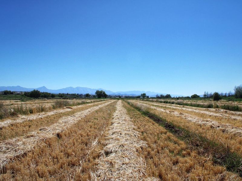 Wanted: Visionary Robust Investors/Developers!! - Photo 9