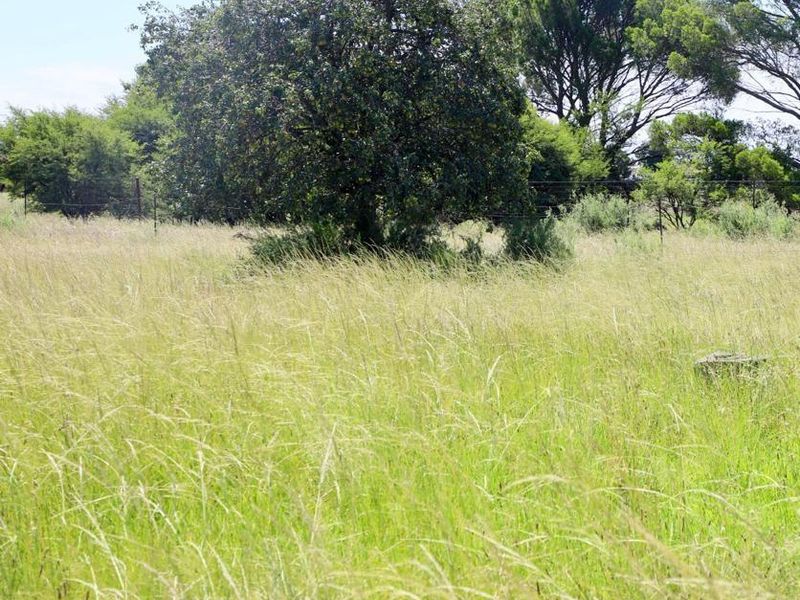 Vacant Smallholding for Sale 6.85 hectares of Opportunity - Photo 2