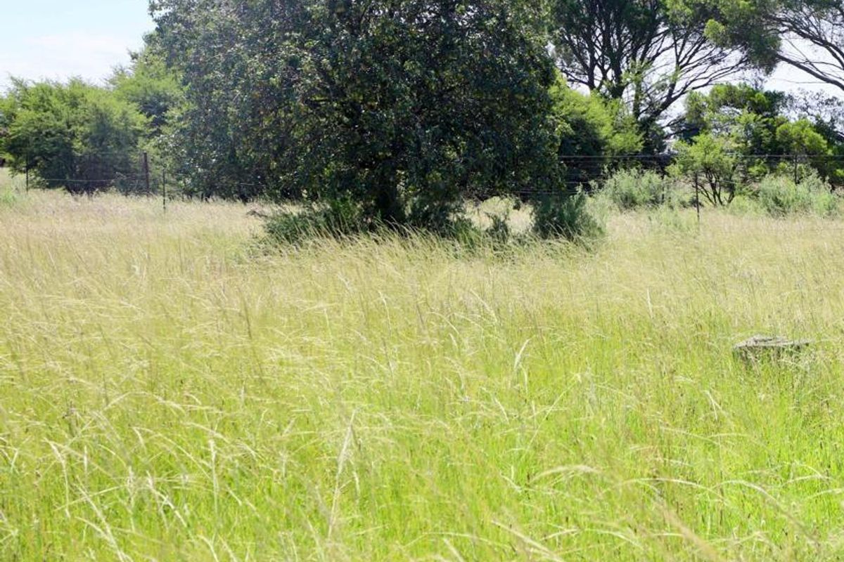 Vacant Smallholding for Sale 6.85 hectares of Opportunity - Photo 2