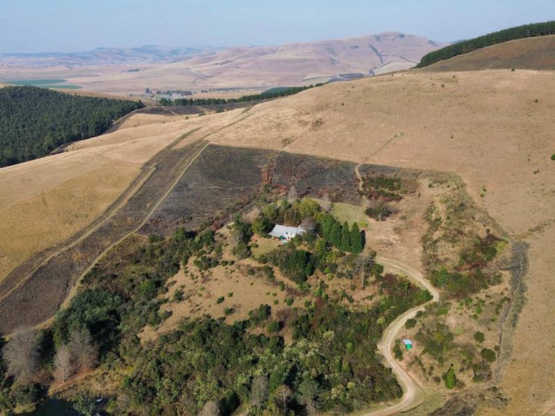 Exceptional Lifestyle Farm with Established Accommodation Business in Dargle - Photo 5