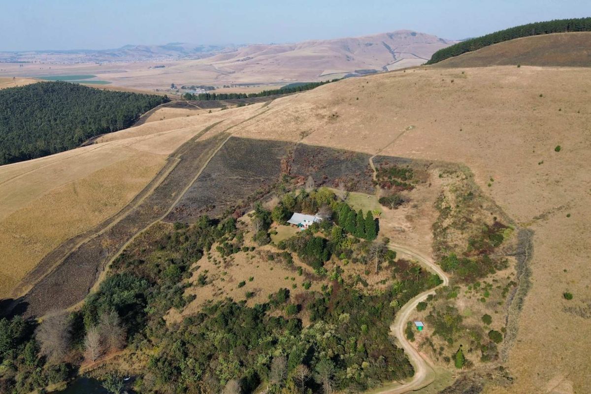 Exceptional Lifestyle Farm with Established Accommodation Business in Dargle - Photo 5