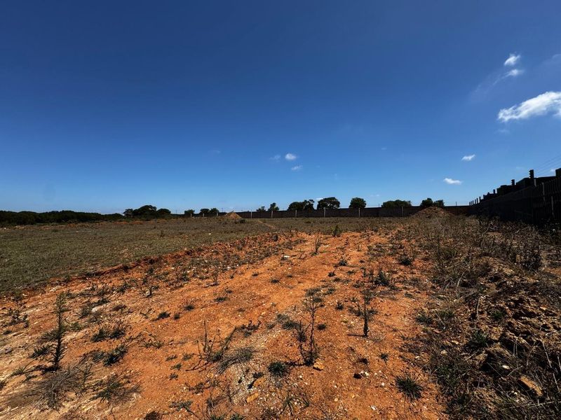 A large, undeveloped industrial plot featuring raw earth, sparse vegetation, and a perimeter boundary wall under a clear blue sky.