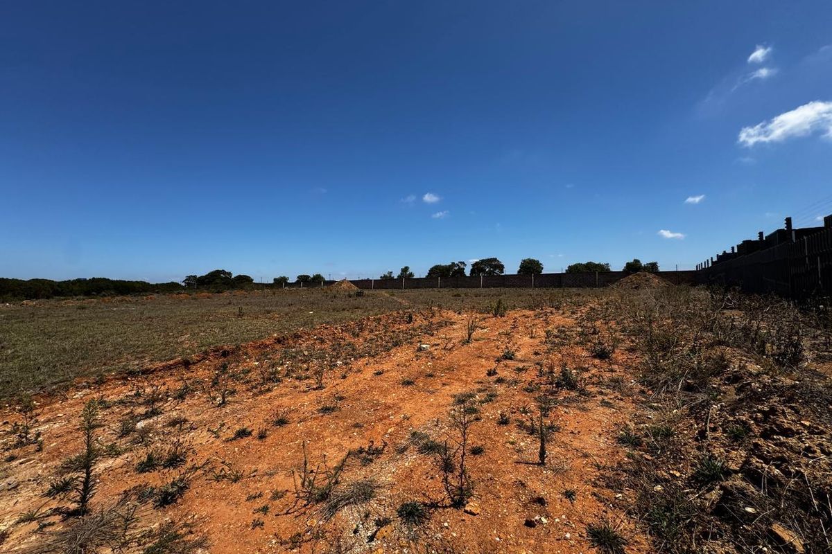 A large, undeveloped industrial plot featuring raw earth, sparse vegetation, and a perimeter boundary wall under a clear blue sky.