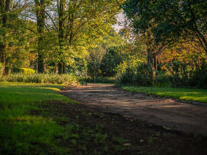 Breathtaking 3 Bedroom Modern Home in Alverstone Equestrian Estate - Photo 4