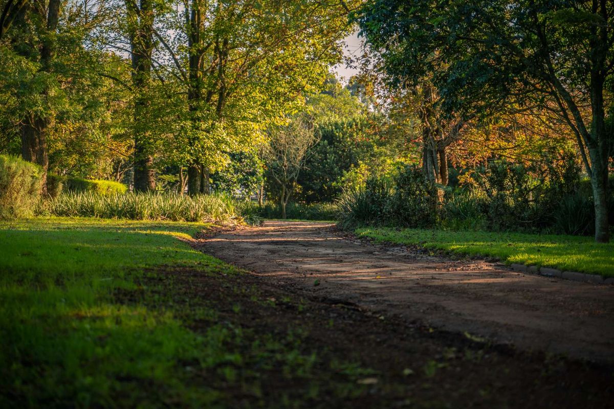 Breathtaking 3 Bedroom Modern Home in Alverstone Equestrian Estate - Photo 4