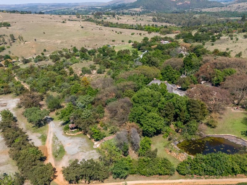Aerial view of a large agricultural property featuring mature trees, a natural pond, and an extensive gravel driveway.