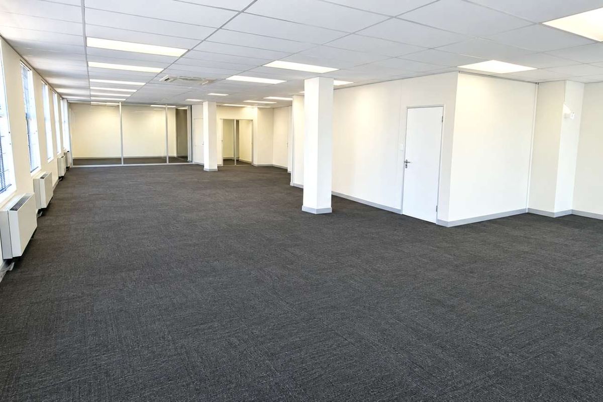 Spacious, open-plan office area featuring a suspended ceiling, recessed lighting, carpeted flooring, and large windows providing ample natural light.