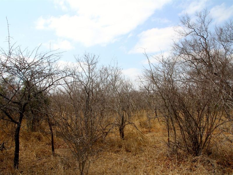 Vacant Land in MODITLO NATURE RESERVE - Photo 2