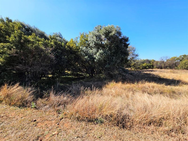 11765m2 Vacant Land in K'Shane - Photo 6