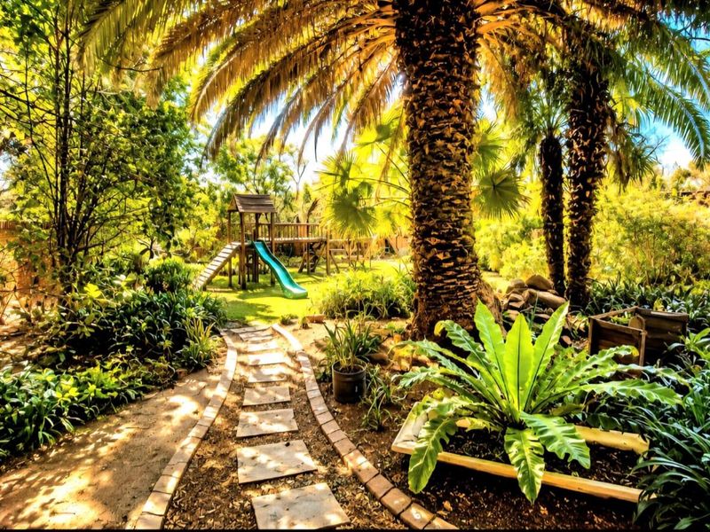 A lush, well-established garden featuring mature palm trees, a stone paver pathway, and a brick boundary wall.
